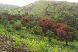 Santiago island: Pico de Antónia and Monte Tchota Trek