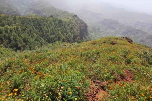 Santiago island: Pico de Antónia and Monte Tchota Trek