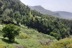 Santiago island: Pico de Antónia and Monte Tchota Trek