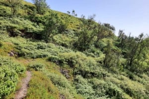 Santiago island: Pico de Antónia and Monte Tchota Trek