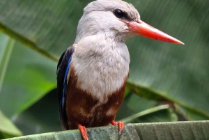 Insel Santiago: Wanderung Serra Malagueta & Gongon-Tal mit Picknick