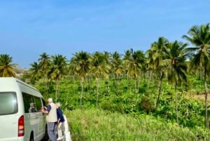 Tour por la isla de Santiago: día completo, descubre Santiago en 1 día.