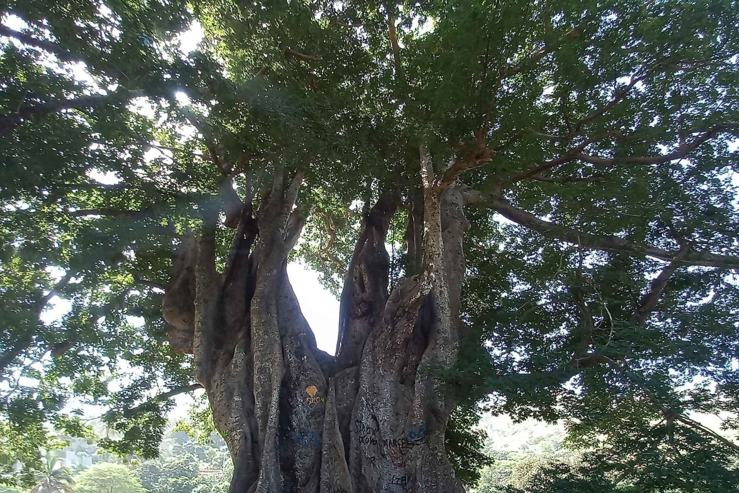 Excursión a la Isla de Santiago