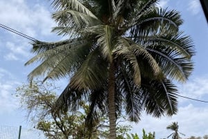 Yksityinen kiertokäynti Santiagossa – Tutustu saareen