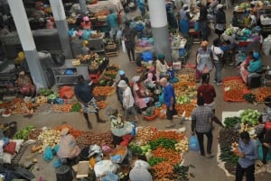 Excursión a la Isla de Santiago