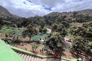 Excursión a la Isla de Santiago