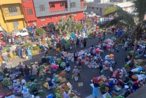 Excursión a la Isla de Santiago