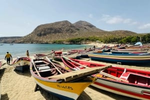 Excursión a la Isla de Santiago