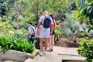 Excursión a la Isla de Santiago