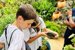 Excursión a la Isla de Santiago