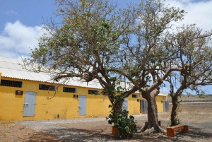 Wycieczka po wyspie Santiago