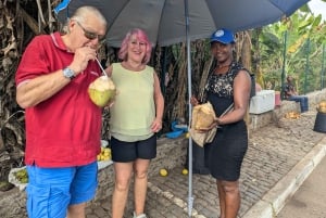 Тур на Северный остров Сантьяго: экскурсия по бездорожью