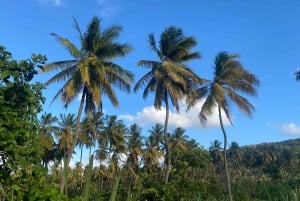 Från Praia: Besök banan- och kokosplantagen och botaniska trädgården med provsmakning