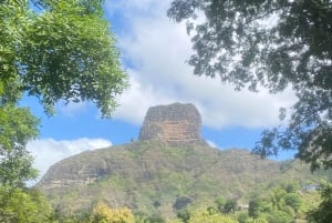 Från Praia: Besök banan- och kokosplantagen och botaniska trädgården med provsmakning