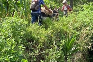 Santo Antão: 2-Day Guided Hiking Tour