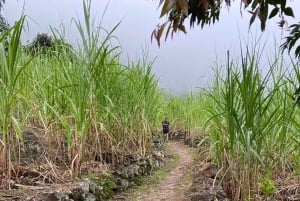 Santo Antão: 2-Day Guided Hiking Tour