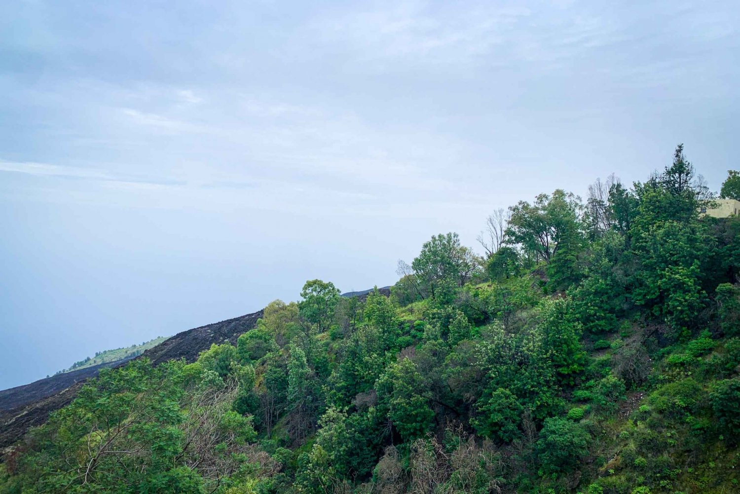 Sao Filipe: gita di un giorno alla piantagione di caffè e alle piscine naturali