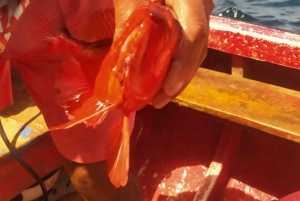 جولة صيد الأسماك في ساو بيدرو