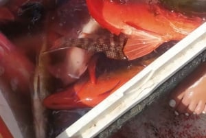 جولة صيد الأسماك في ساو بيدرو