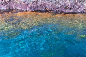 جولة صيد الأسماك في ساو بيدرو