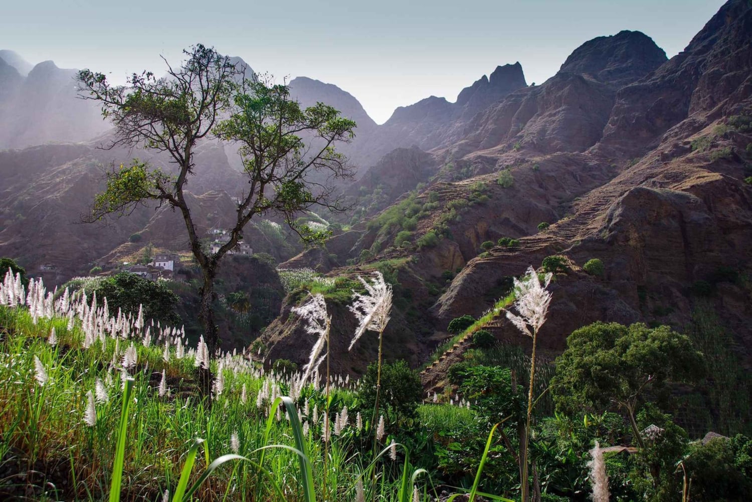 ساو فيسنتي وسانتو أنتاو في 8 أيام و7 ليال