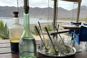 ساو فيسنتي وسانتو أنتاو في 8 أيام و7 ليال