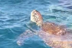 ساو فيسنتي وسانتو أنتاو في 8 أيام و7 ليال