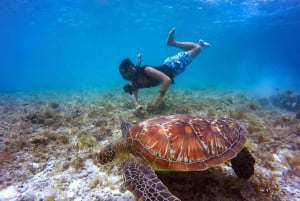 São Vicente: Enseada de Coral Snorkeling Guided Tour