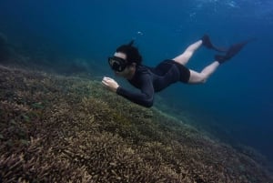 São Vicente: Enseada de Coral Snorkeling Guided Tour