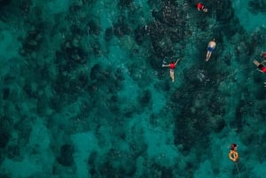 São Vicente: Enseada de Coral Snorkeling Guided Tour