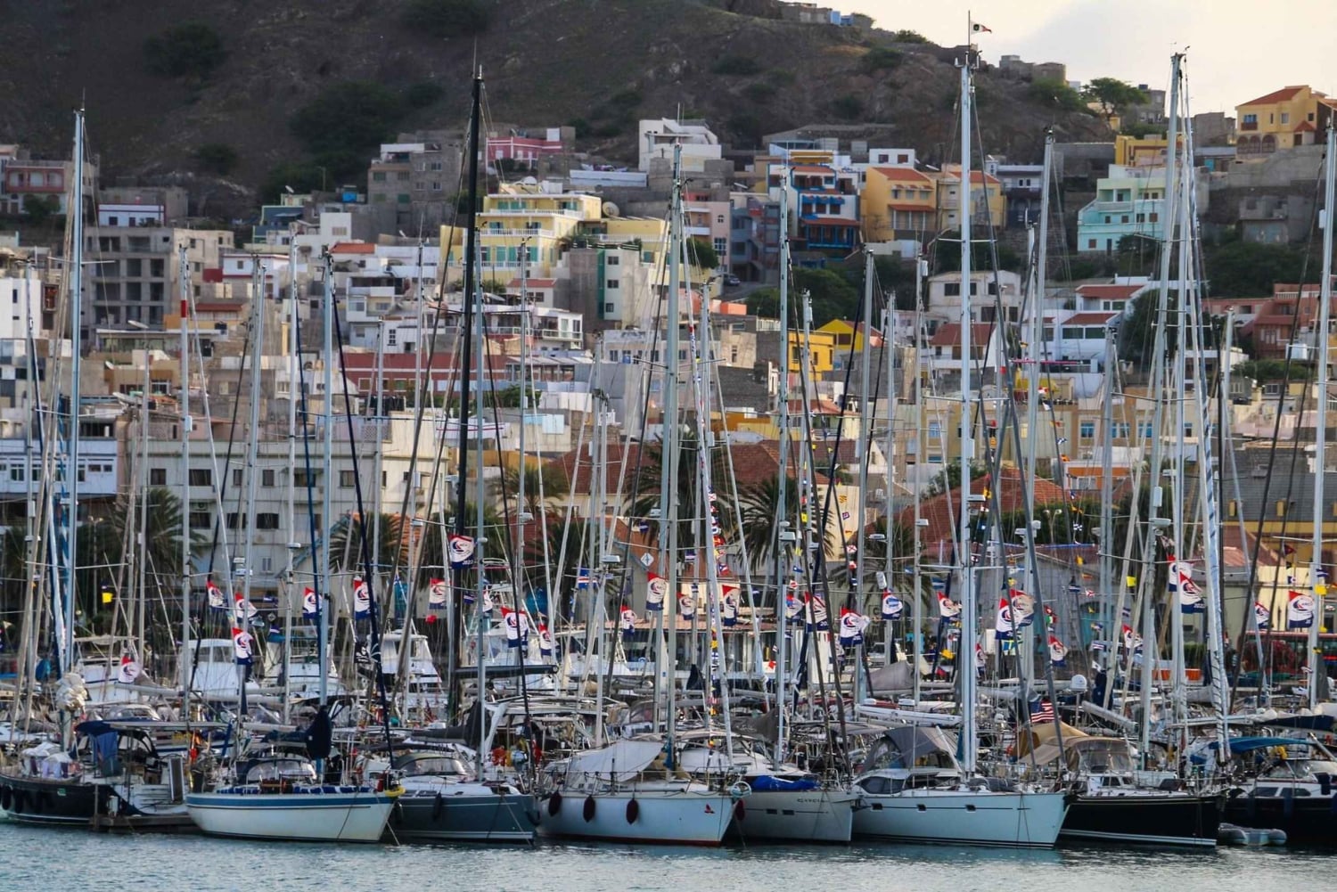 ساو فيسنتي: جولة في الجزيرة لمدة يوم كامل