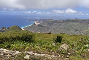 ساو فيسنتي: جولة في الجزيرة لمدة يوم كامل