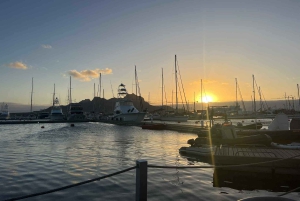 ساو فيسنتي: جولة في الجزيرة لمدة يوم كامل