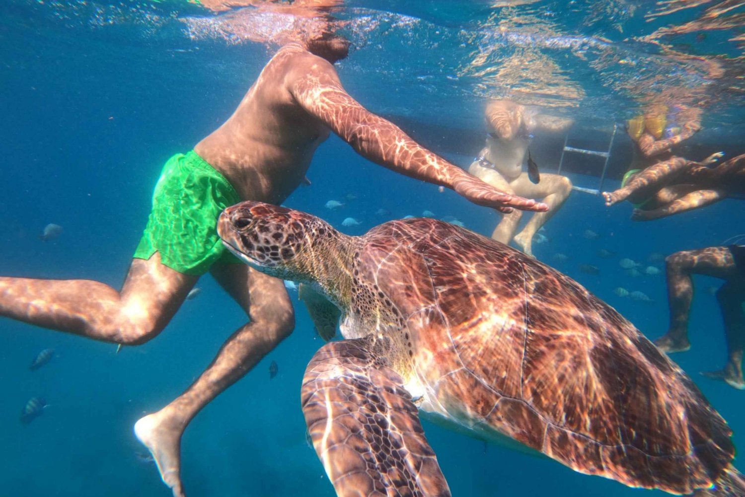 Snorkeling-with-Turtles