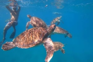 São Vicente: Vicente: Snorklaus kilpikonnien kanssa Henkeäsalpaava kokemus.