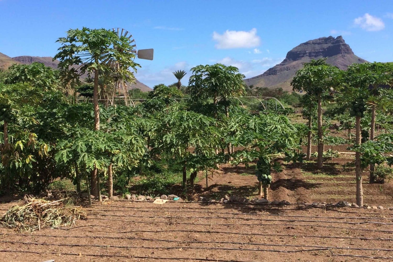 Сан-Висенте: Полдня, пляжи, деревни и Монте-Верде