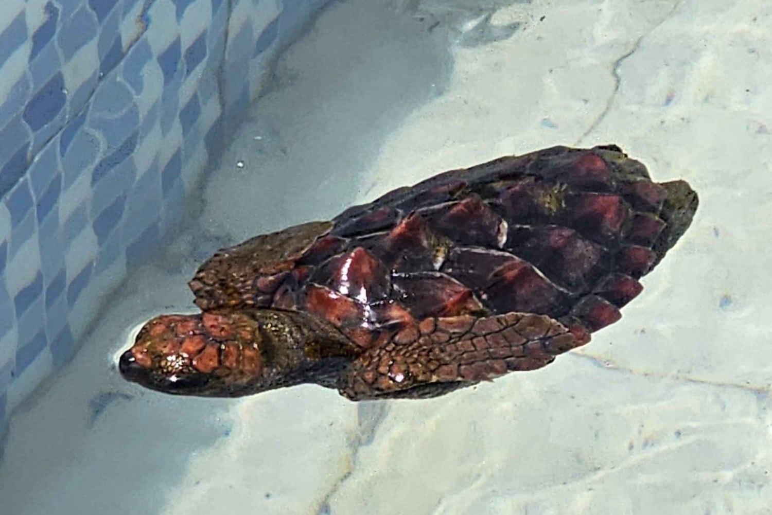 Сан-Висенте: Полдня, пляжи, деревни и Монте-Верде