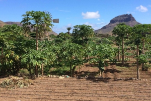 São Vicente : Demi-journée, plages, villages et Monte Verde