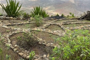 São Vicente : Demi-journée, plages, villages et Monte Verde