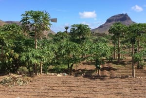 Сан-Висенте: Полдня, пляжи, деревни и Монте-Верде