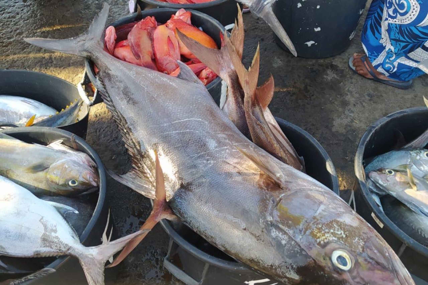 サン・ビセンテ半日