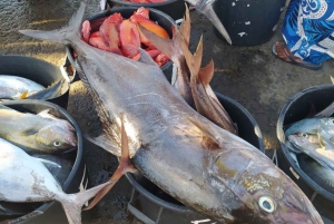 サン・ビセンテ半日