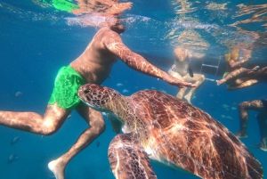 São Vicente: nurkowanie z żółwiami zapierające dech w piersiach