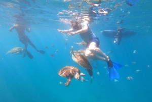 São Vicente: nurkowanie z żółwiami zapierające dech w piersiach