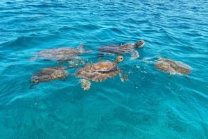 São Vicente: zwem- en snorkeltocht met zeeschildpadden