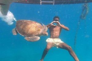 Sao Vicente: Swimming and Snorkeling Tour with Sea Turtles