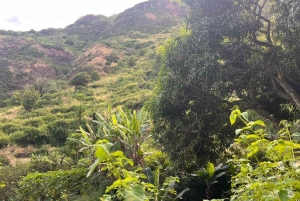 Randonnée panoramique de Longueira à Assomada