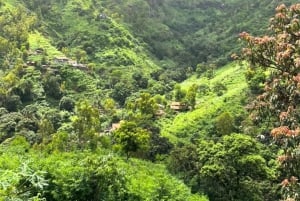 Santiago: Caminhada Serra para Principal incluído visita mercado Assomada