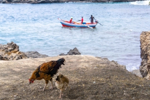 Rantaretki: 3 tunnin Praia & Cidade Velha historiallinen kierros