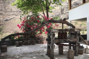 Excursão Terrestre, Santo Antão, Dia Inteiro, Destaques de carro